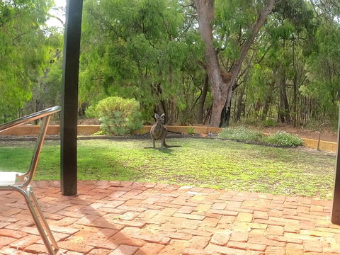 Yallingup Pet Friendly Bush Retreat - Tourism Noosa 3