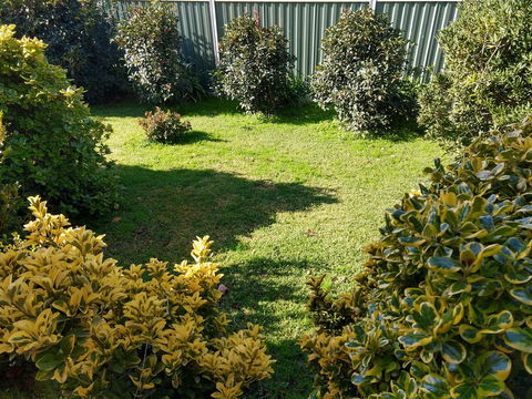 Young Goldrush Motel - Tourism Noosa 3