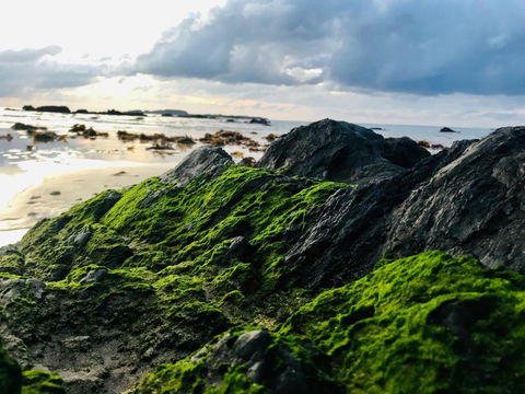 A Sanctuary At Denhams - Family & Pooch Friendly - Tourism Noosa 2