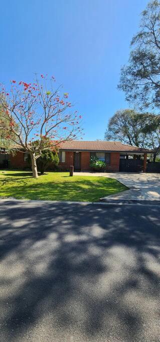 Abbey Beach Cottage - Tourism Noosa 1