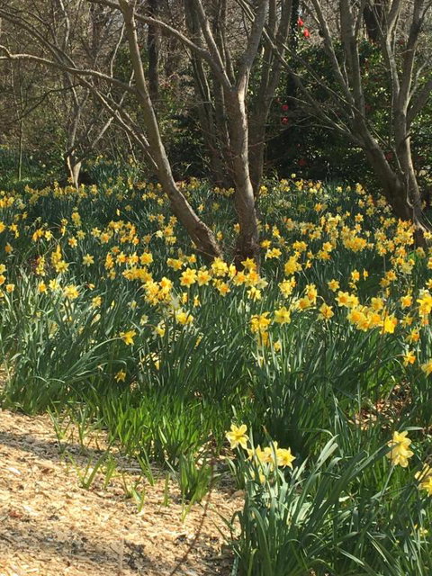 Amaroo Guesthouse - Tourism Noosa 0