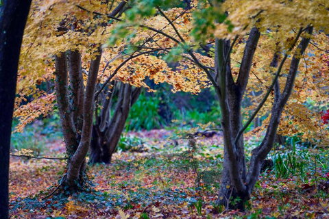 Amaroo Guesthouse - Tourism Noosa 3