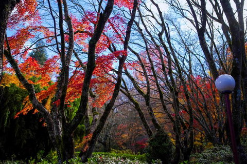 Amaroo Guesthouse - Tourism Noosa 2