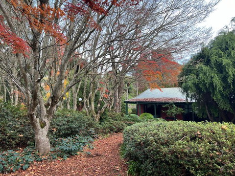 Amaroo Guesthouse - Tourism Noosa 1