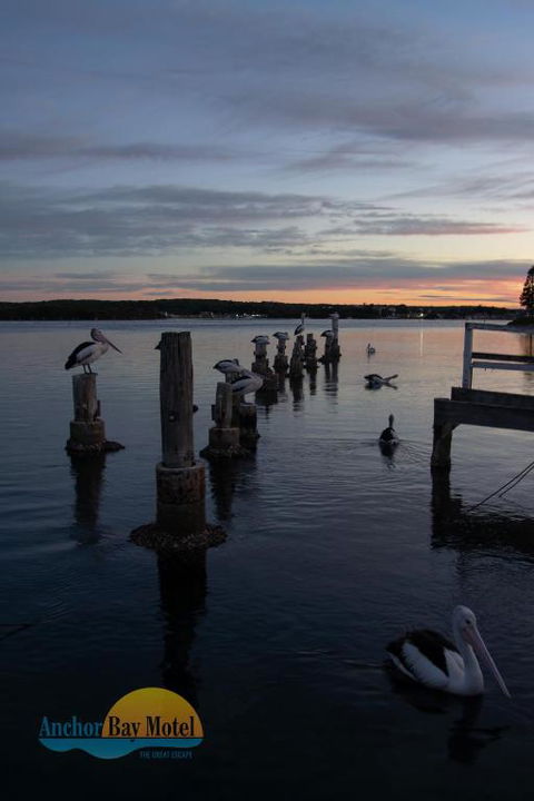 Anchor Bay Motel - Tourism Noosa 3