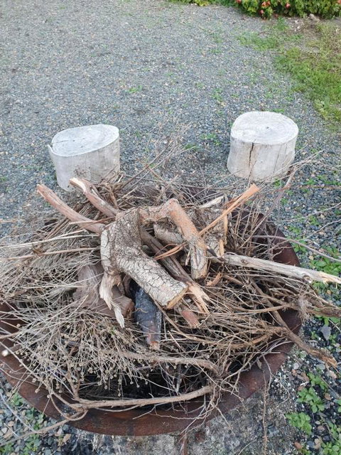 Angaston By The Winter Creek - Tourism Noosa 3