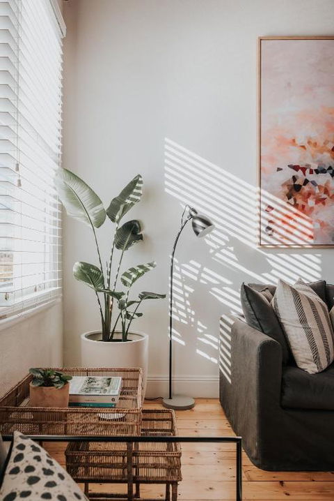 Apartments On Belmore - The Ledger - Tourism Noosa 3