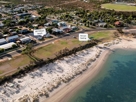 API Pelican Beach Front Apartments Kalbarri - Tourism Noosa 1