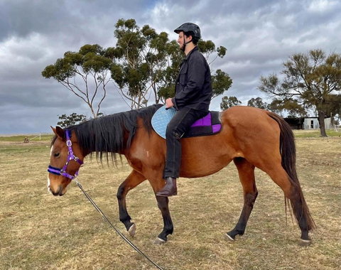 Avondale Heights By Tiny Away - Tourism Noosa 3