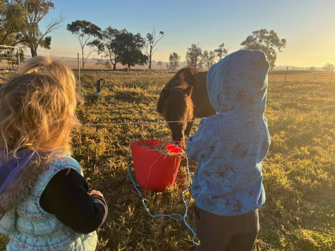 Avondale Heights By Tiny Away - Tourism Noosa 4