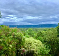 Daintree Manor BB - Tourism Noosa