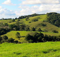 Maleny Springs Farm - Tourism Noosa