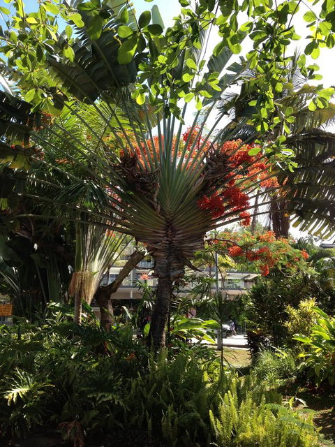 Port Douglas Apartments - Adults Only Oasis - Tourism Noosa 39