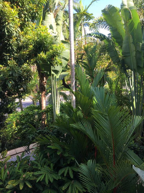 Port Douglas Apartments - Adults Only Oasis - Tourism Noosa 1