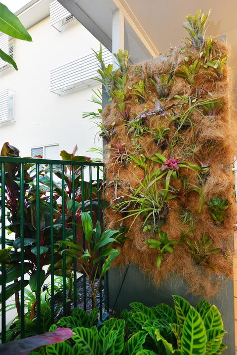 Port Douglas Apartments - Adults Only Oasis - Tourism Noosa 27