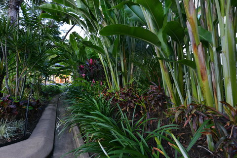 Port Douglas Apartments - Adults Only Oasis - Tourism Noosa 9