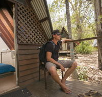 Bungalow Bay Koala Village YHA - Tourism Noosa