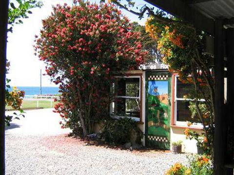 King Island Accommodation Cottages - Tourism Noosa 11
