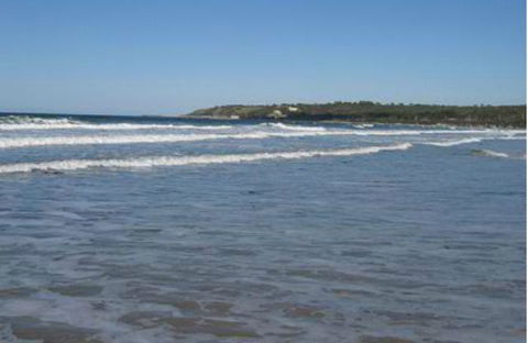 King Island Accommodation Cottages - Tourism Noosa 18