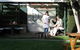 King Island Accommodation Cottages - thumb 6