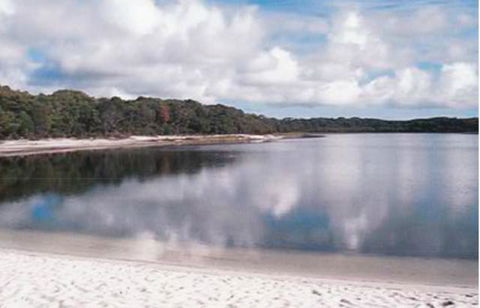 King Island Accommodation Cottages - Tourism Noosa 17