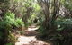 King Island Accommodation Cottages - thumb 12