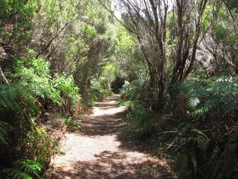 King Island Accommodation Cottages - Tourism Noosa 12