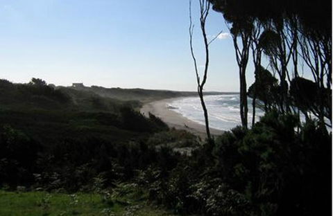 King Island Accommodation Cottages - Tourism Noosa 19