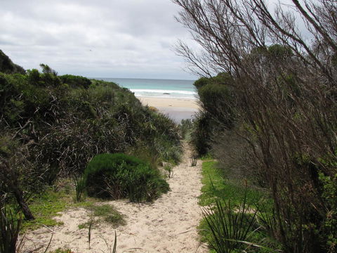 King Island Accommodation Cottages - Tourism Noosa 41