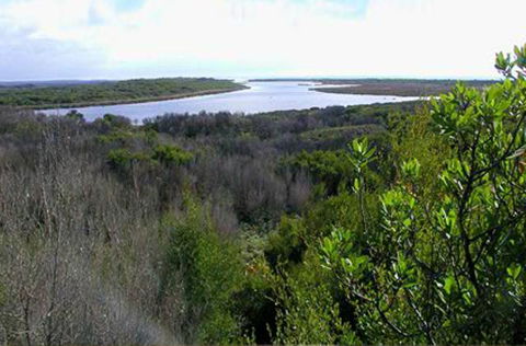 King Island Accommodation Cottages - Tourism Noosa 20