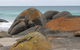King Island Accommodation Cottages - thumb 40