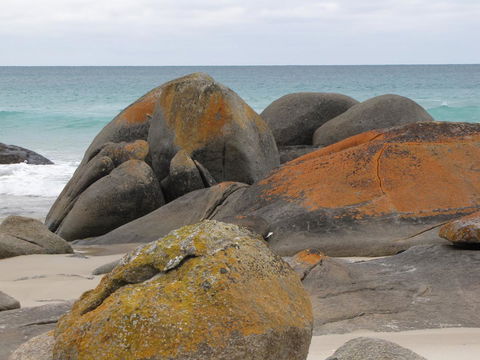King Island Accommodation Cottages - Tourism Noosa 40