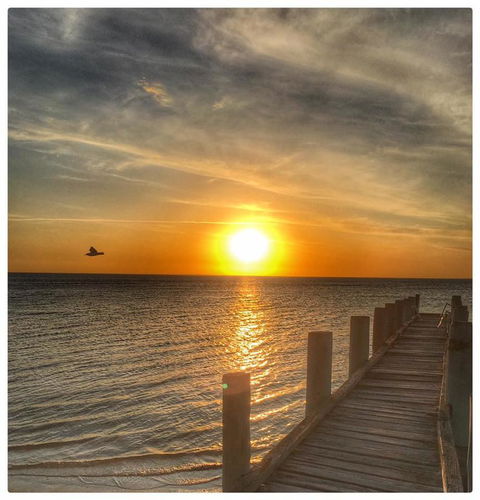 Island Quarters - Tourism Noosa 7