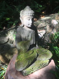 Book Coolum Accommodation Vacations Tourism Noosa Tourism Noosa