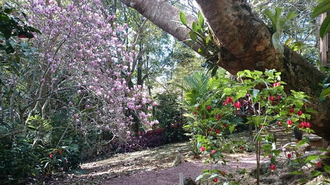 305 Montville - The Artist's Cottage - Tourism Noosa 3