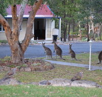 31 The Rocks - Tourism Noosa