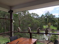 Book Gold Coast Accommodation Vacations Tourism Noosa Tourism Noosa