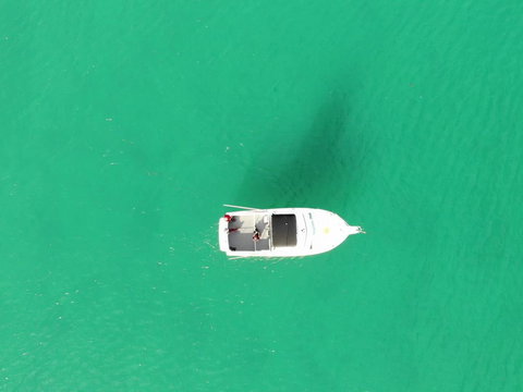 45B Wharf Street Downstairs - Tourism Noosa 3