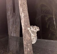 5 mins to Movie world  pet friendly - Tourism Noosa
