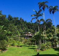 A Daintree Garden - Tourism Noosa