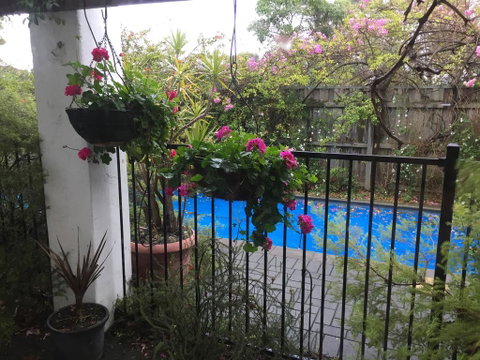 Aarn House B&B Airport Accommodation - Tourism Noosa 3