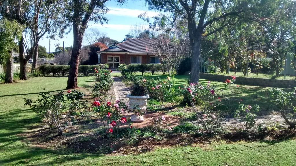 Aberdeen NSW Tourism Noosa