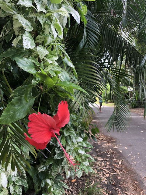 Absolute Beach Frontage, Family Friendly, Home Away From Home - Tourism Noosa 1