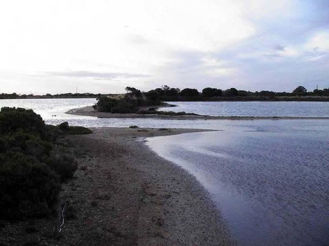 Absolute Waterfront - Tourism Noosa 1
