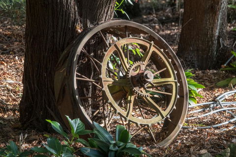 Acacia Hills Retreat - Tourism Noosa 2