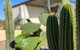 Dreamy Staiz - Riverland Abode - thumb 2