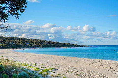 Eagle Bay Summerhaus - Tourism Noosa 1