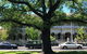 East Melbourne City Studio - Amazing Location & Sunny Charm - thumb 3