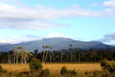 Far South Eco-Cabin, Southern Tasmania - Tourism Noosa 1