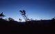 Far South Eco-Cabin, Southern Tasmania - thumb 2